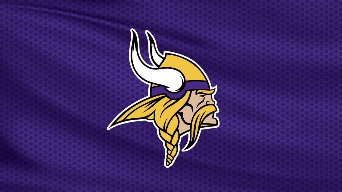 Vikings vs Steelers 
